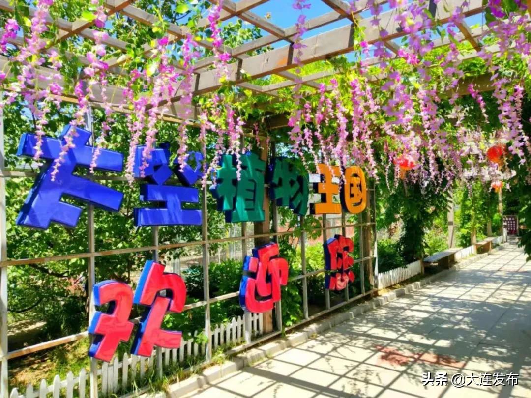 大连小南村夜市,大连小南村七彩城