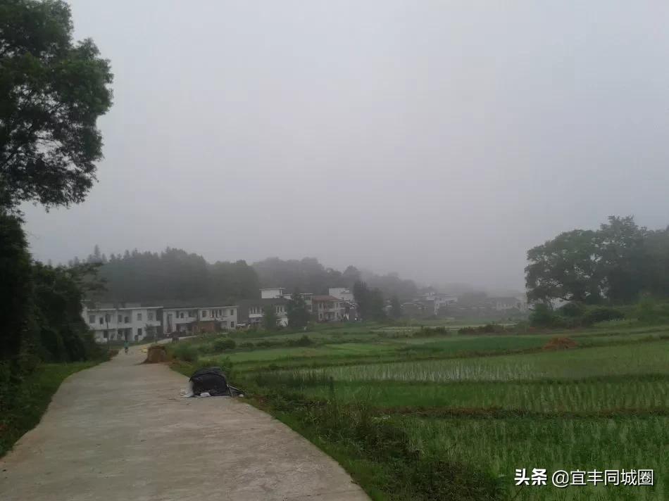 这些失传已久的童谣你还记得吗,这些即将消失的老行当你还记得吗