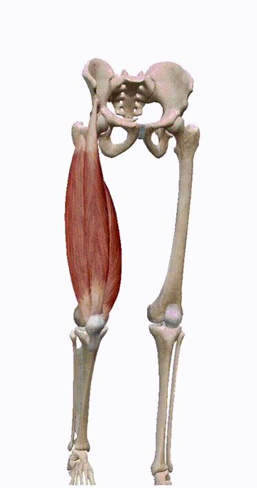 平时不经意的动作习惯让你的膝关节咔咔响和疼,生活中需这样保护