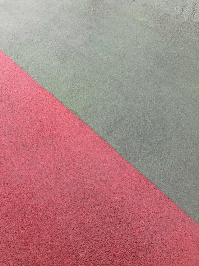 开悟与顿悟的捷径是什么,开悟与顿悟的捷径