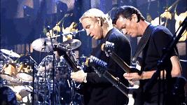 黑胶图书馆,黑胶唱片图书馆