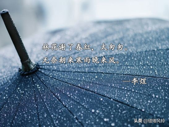 杨柳风杏花雨诗句,沾衣欲湿杏花雨诗句