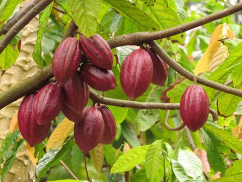 脸上长痘的位置分别代表什么,脸上不同部位长痘分别代表什么