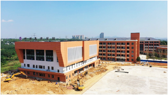 骏马追风启征程-奔跑中的望城城投