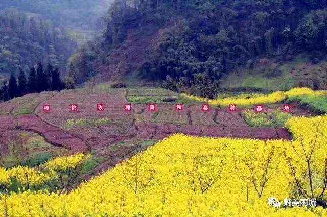 雨城名字由来,雨城区乡镇区划调整方案