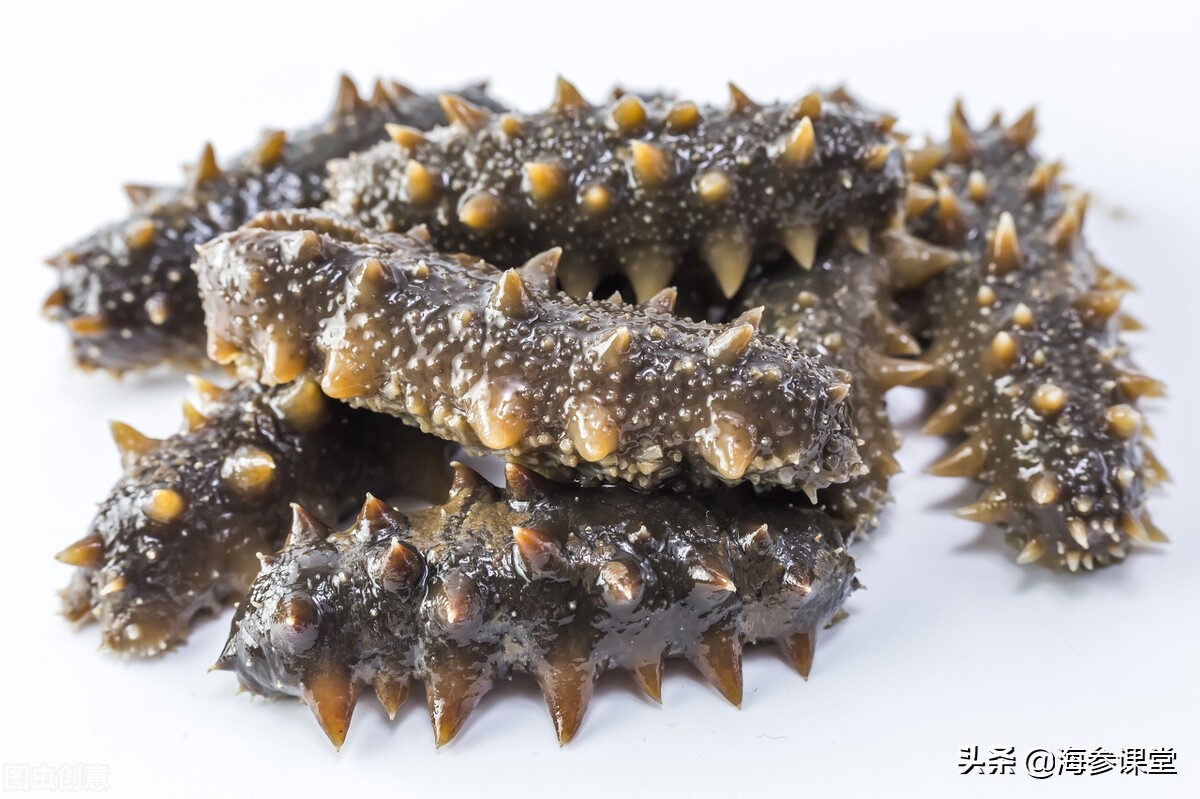 315海参质量问题,海参打假315