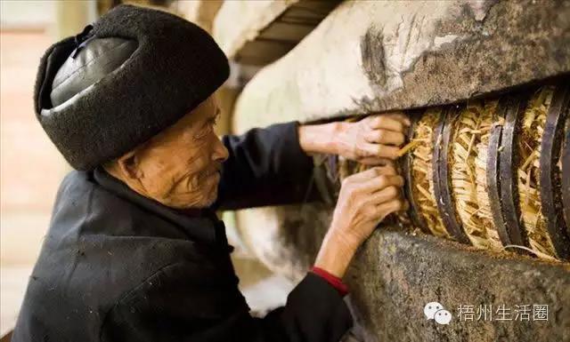 “茶油煮饭，锅底刮烂”！罗定的你试过了吗？