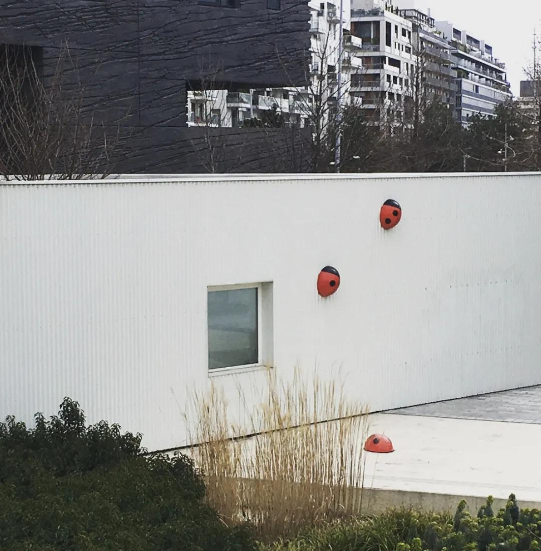 看了就想养的宠物,看了就想抱的宠物