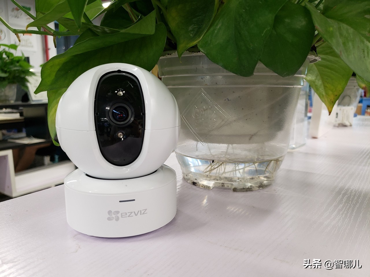 萤石c6c无极巡航版和c6cn哪个好,萤石互联网云台摄像机价格表