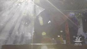 苦菜和萝卜缨,云南苦菜食材推荐