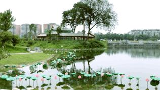 巴适自驾旅游攻略,巴适小众公园