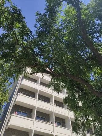 在北大就读是一种怎样的体验视频,在北大读书是什么体验知乎