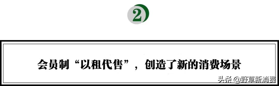 社交电商大爆发,社交电商爆发