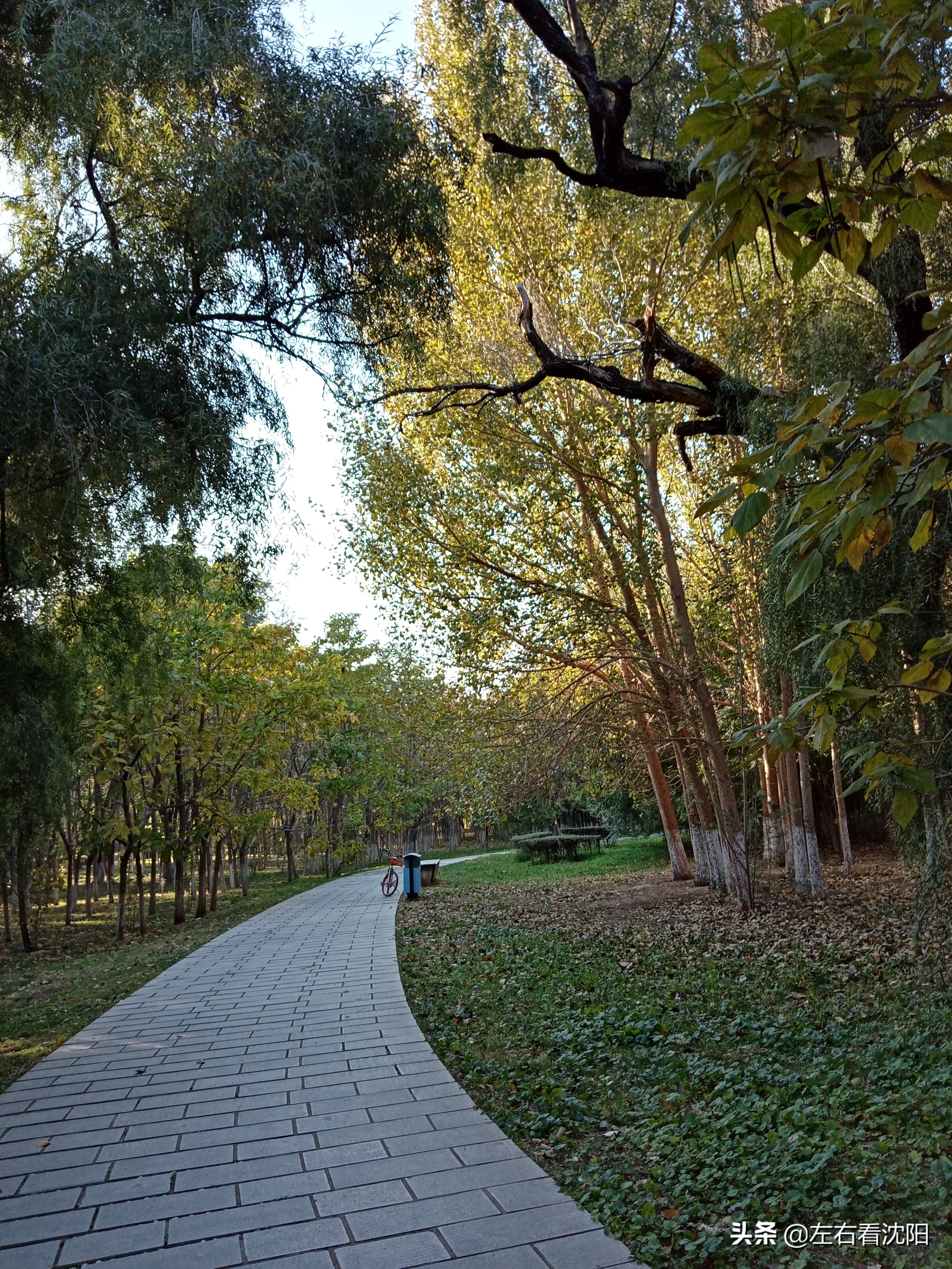 沈阳沈水湾公园看日出,沈阳浑河看海的地方