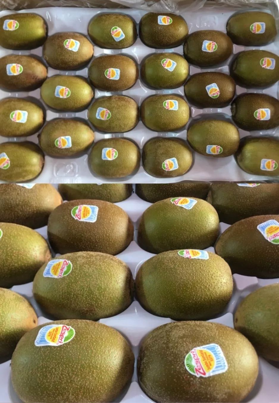 长春生鲜冷链配送,长春蔬果生鲜配送新鲜直达