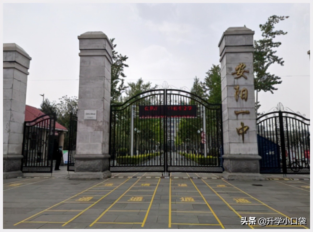 第38届全国中学生数学竞赛排名,河南高中数学联赛一等奖人数