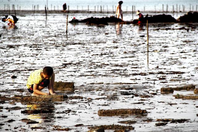 江苏滨海海岸线,为什么江苏海岸线很长却港口很少