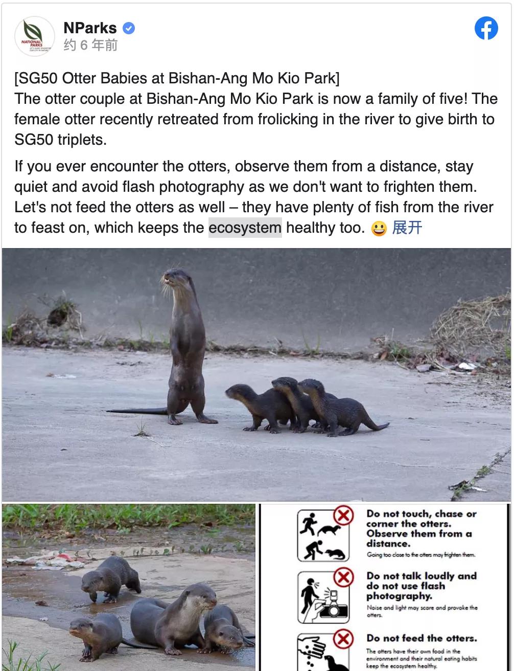 新加坡打架最惨烈的一次,新加坡出租车司机种族冲突