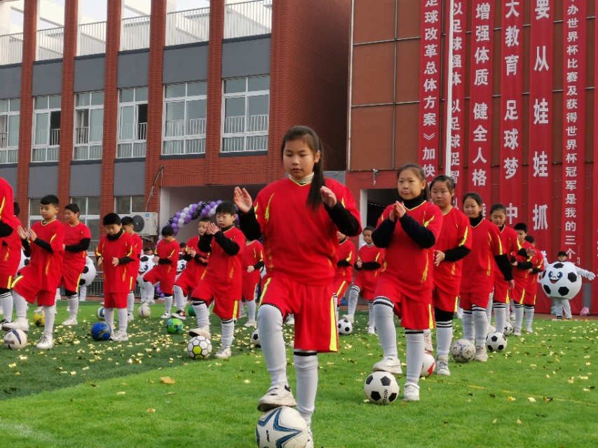第三届校园足球杯,第三届华奥杯青少年足球邀请赛