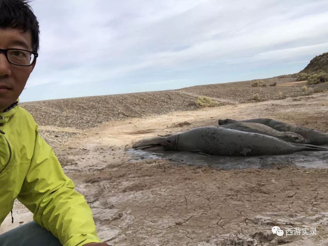 史上最牛沪C开到了世界尽头