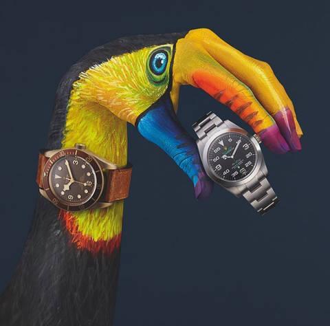 帝舵手表如何确认型号真假图解,购买帝舵要注意什么