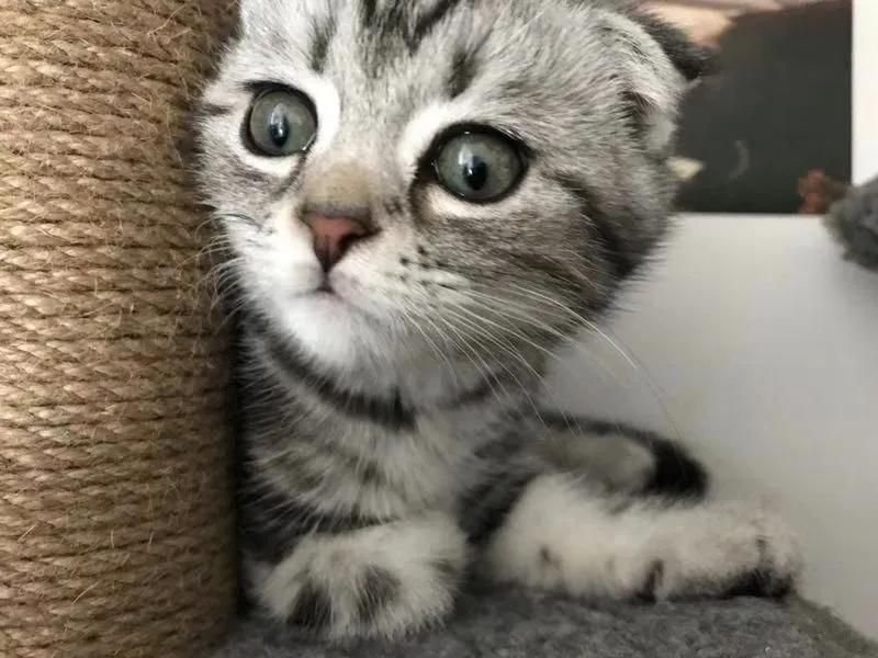 手工绣鞋垫兼职,绣鞋垫兼职能挣多少钱