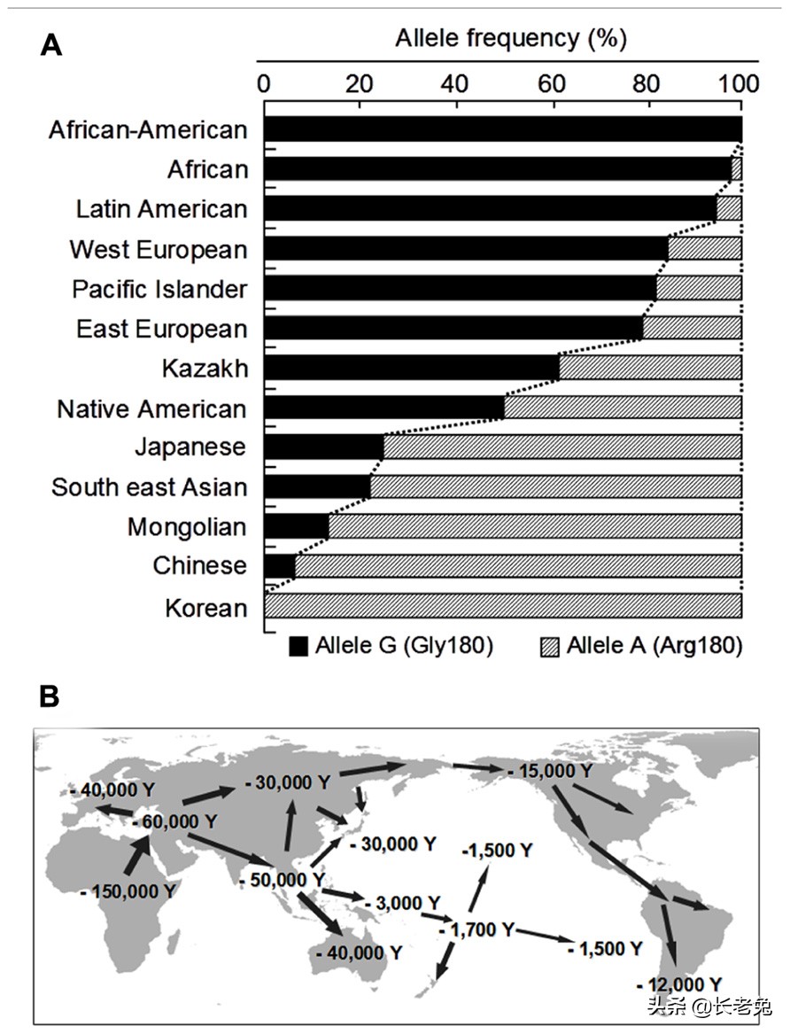 为什么外国人几乎有狐臭,为什么欧美人普遍都有狐臭