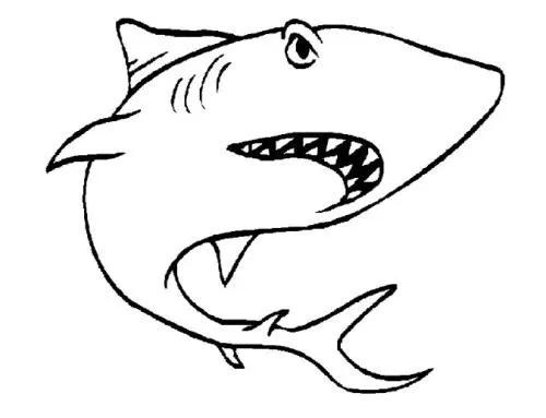 关于动物的冷知识大全素材库,关于动物冷知识大全书