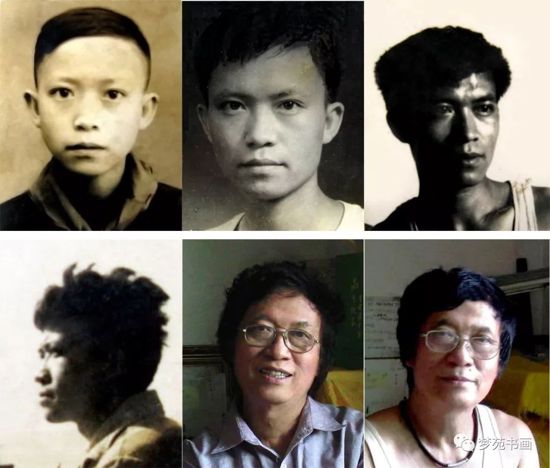 有的不开花但会长成参天大树,不会开花但可以长成参天大树