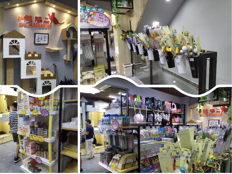 猫舍卖猫这行业为什么这么暴利,猫咪宠物店靠什么盈利