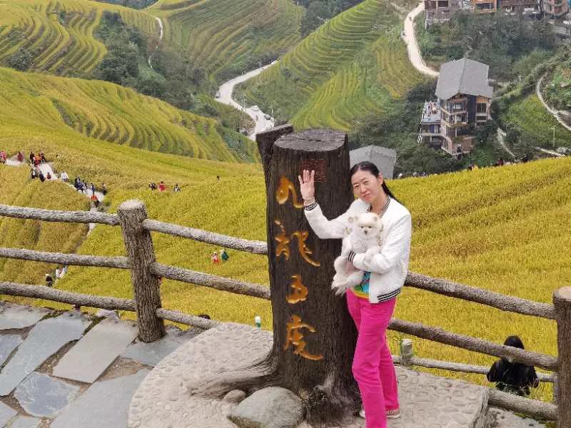 自驾游桂林龙脊梯田怎么玩的,自驾游桂林龙脊梯田怎样游