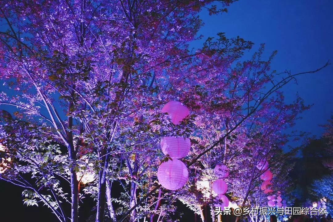 古朴悠然的禅意小镇,半农学院