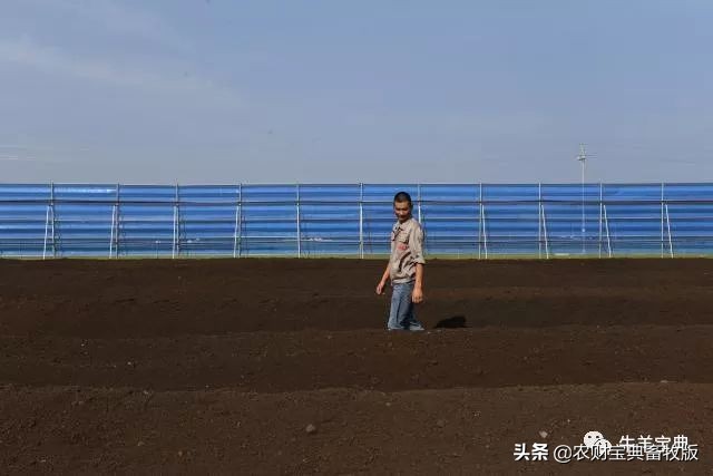 月收入高达2万多元！只需清棚圈时顺带回收牛羊粪