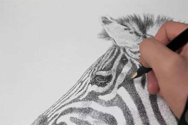 小央美钢笔画视频,极品五大钢笔画简直美爆