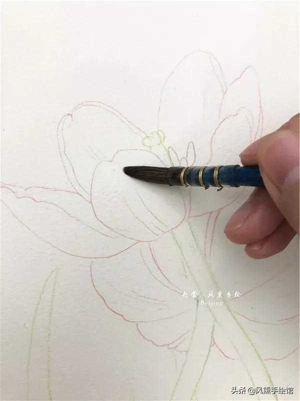 怎么用水彩笔画郁金香教程,粉色水彩郁金香怎么画图片