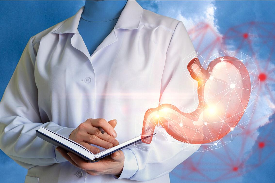 湿热该吃什么补脾胃,脾胃湿热怎么食物调理恢复最快