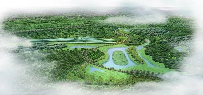 老挝太阳纸业发展,太阳纸业老挝建设