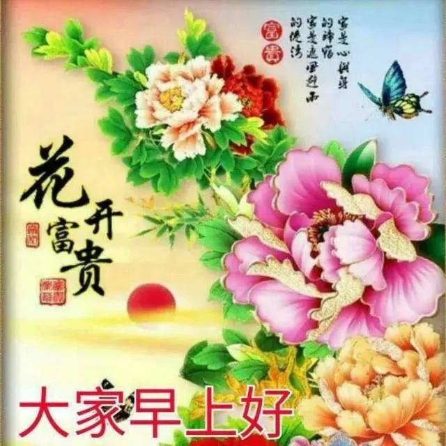适合发朋友圈早安的唯美图片,暖心早安祝福唯美图片带字