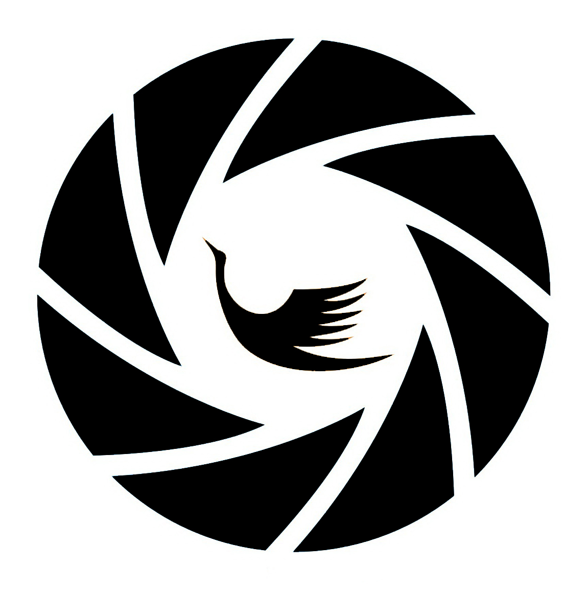 武汉了解历史的地方,可以了解武汉文化的旅游景点