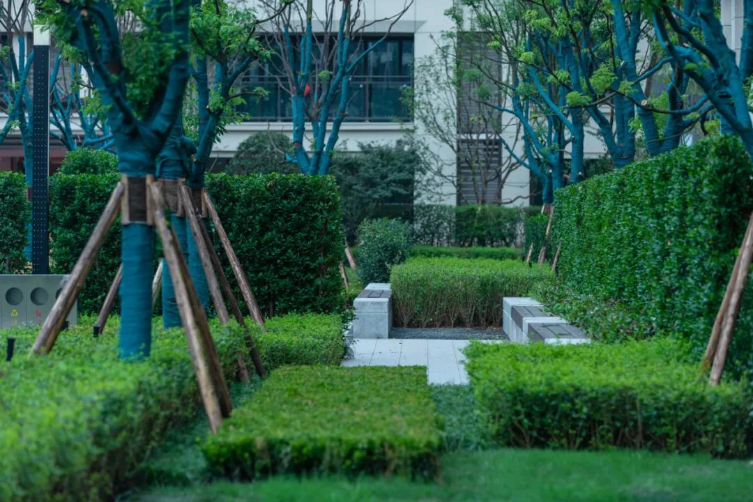 万科金开悦府,万科金开悦府高压线