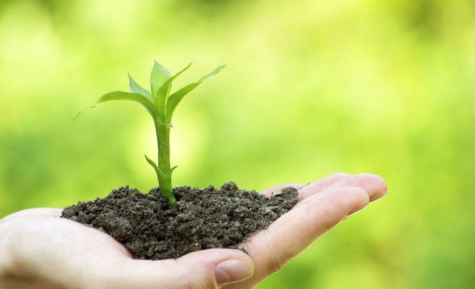 如何判断土壤的酸碱性,怎么判断土壤的酸碱性