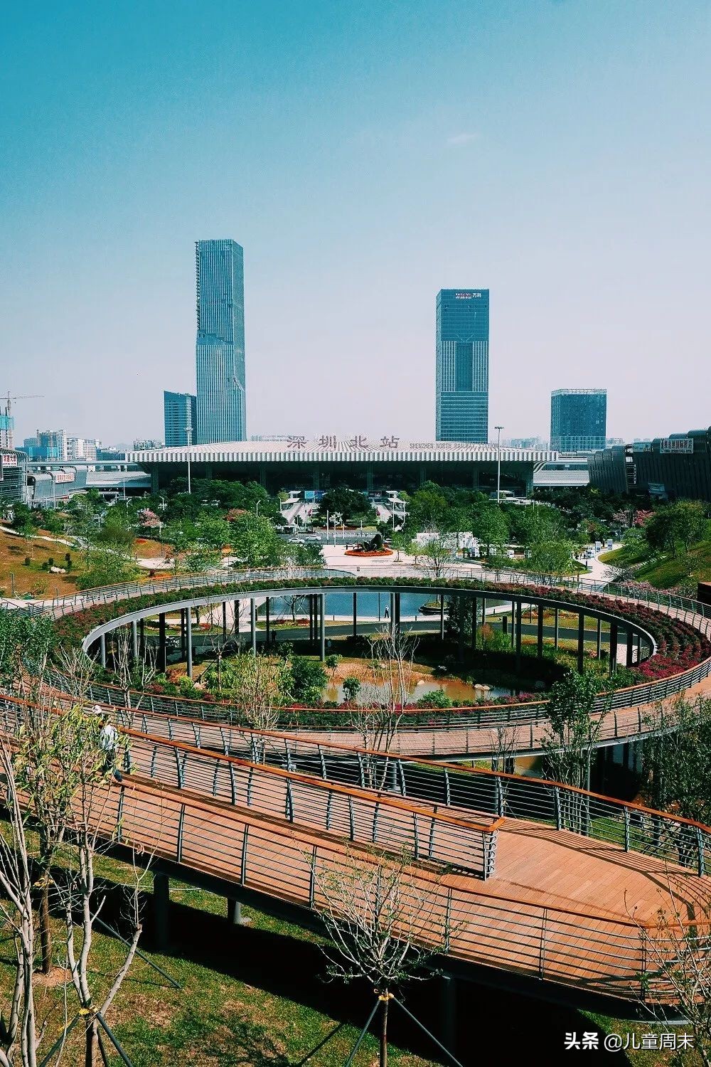 深圳中心公园足球场,深圳中心公园大草坪