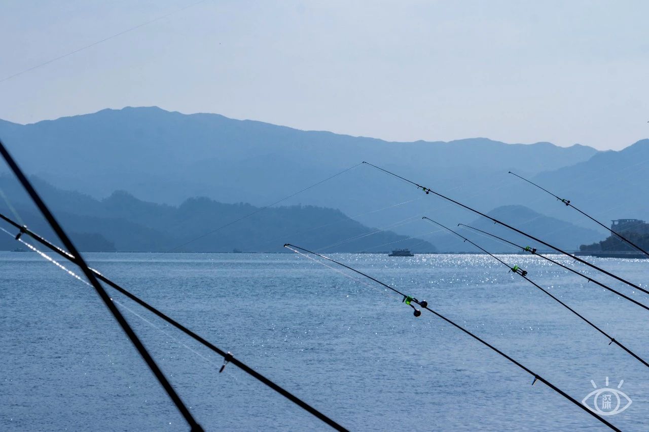 深圳绝美小岛景点介绍,深圳有哪些绝美的海景