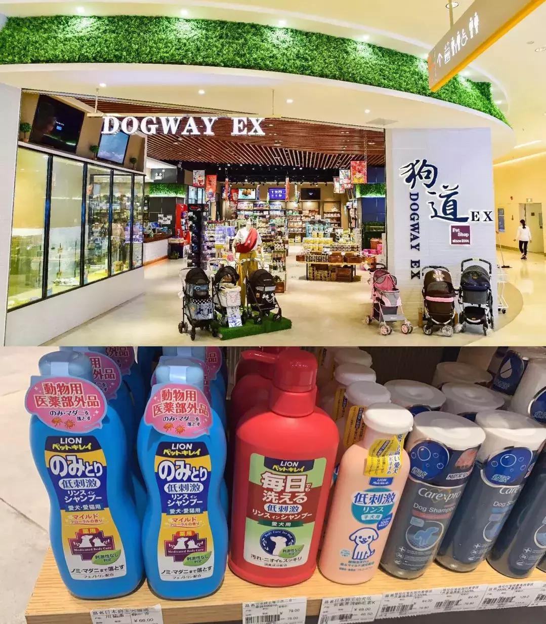 开宠物店一年能赚多少钱,开宠物店一个月可以赚多少钱