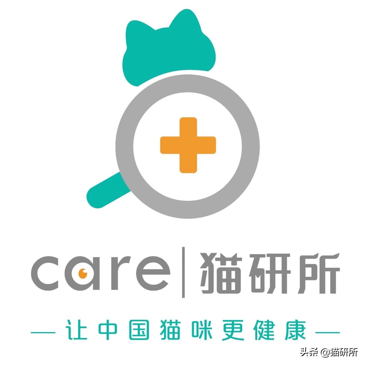 猫咪呕吐一般是什么原因导致的,导致猫咪呕吐的3大原因