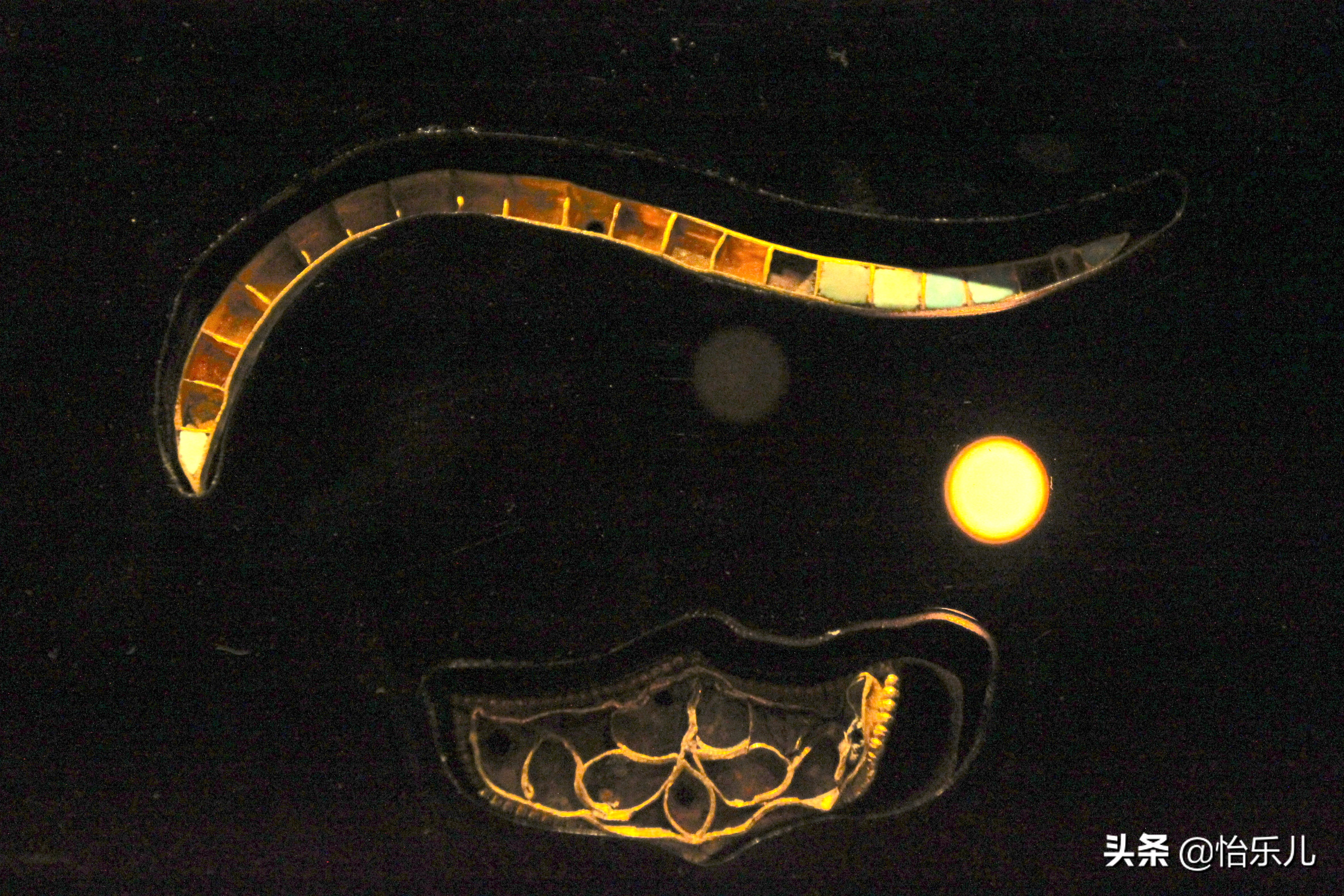 都兰热水墓被盗文物,都兰热水一号大墓出土文物