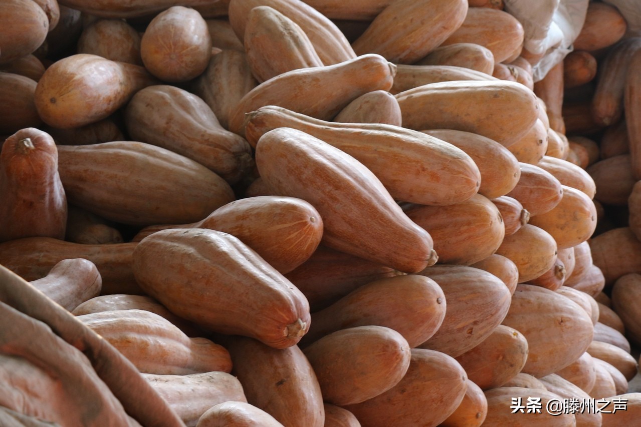 鲁华集团全面做好疫情防控和稳物价保供应工作