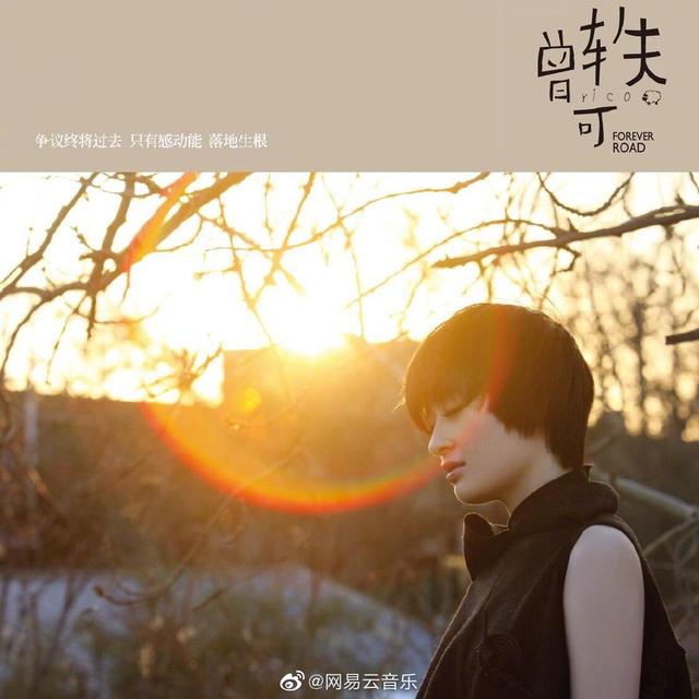 遭受全网黑的明星们，蔡徐坤无辜，翟天临活该，肖战被粉丝牵连。