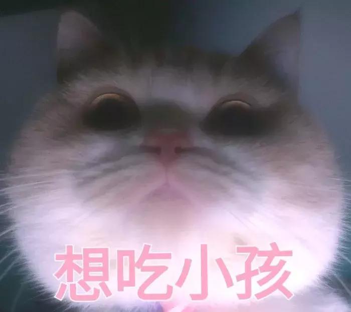 养了九年的猫突然对我有攻击性,养了两年的猫对我特别防备