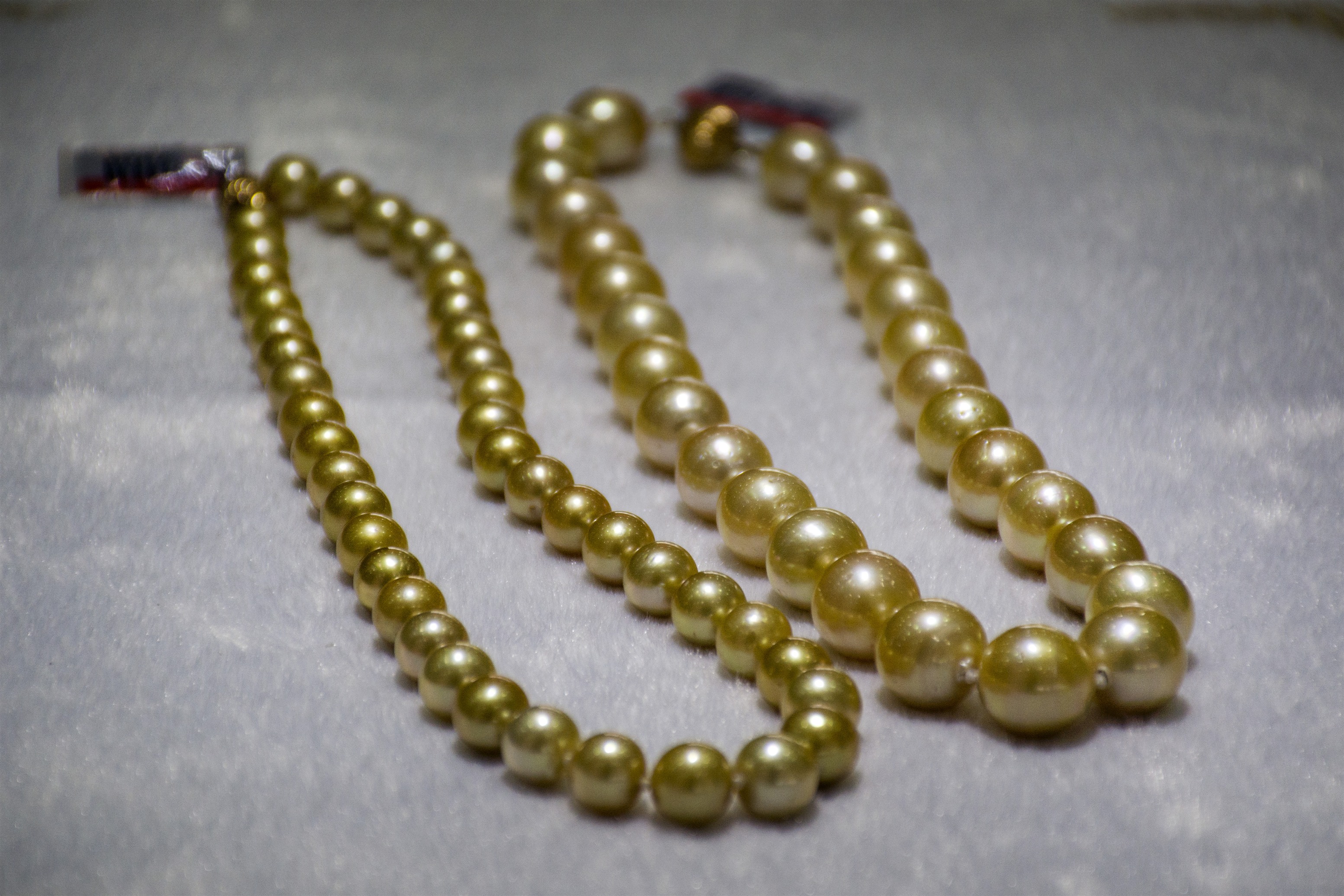 广西十大特产鱼,广西旅游排行榜前十